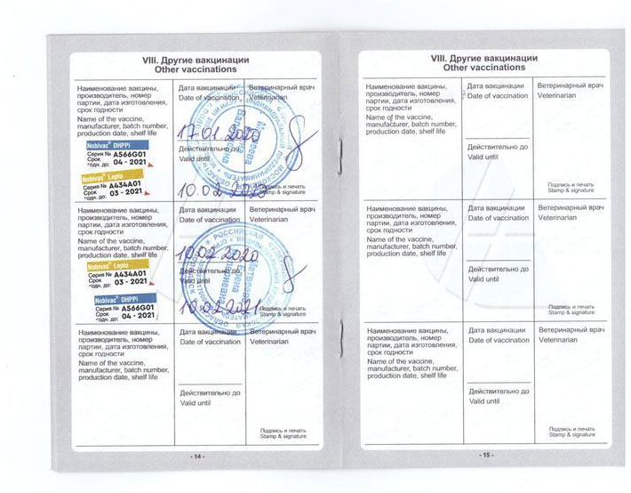 Паспорт вакцинации