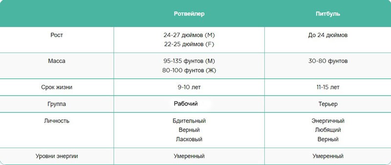 Ротвейлер и питбуль