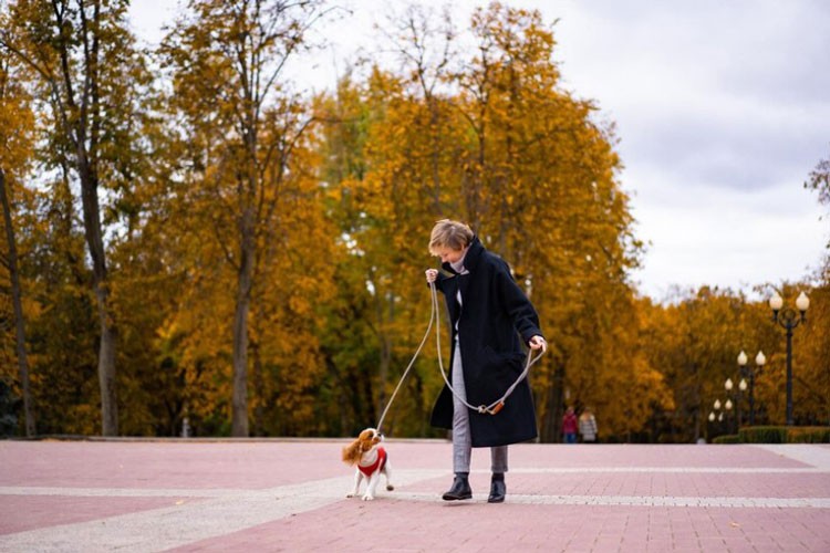 Уход за щенком