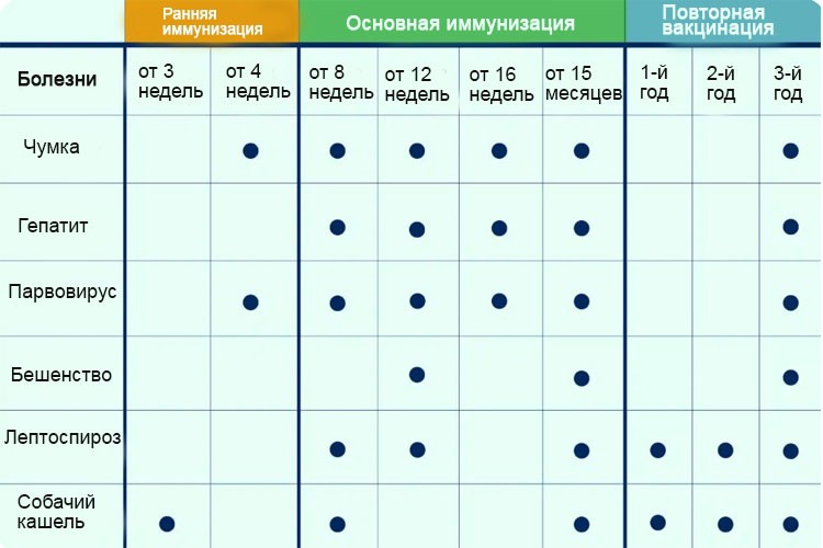 Обязательные прививки собакам